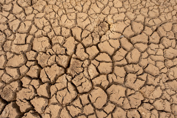 Marsh land with dry and cracked ground. Global warming background.