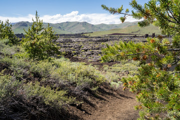 Fototapeta na wymiar Hiking trail leading to black volcanic lava fields at Craters of the Moon National Monument in Idaho