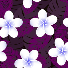 Seamless vector tropical pattern. Plumeria, frangipani. Exotic vector beach wallpaper seamless pattern.