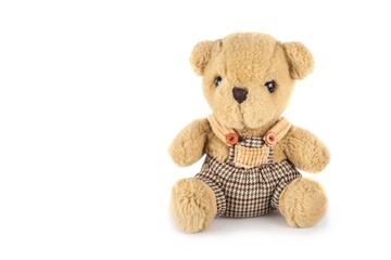 Teddy bear in overalls