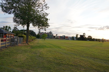 fresh green sunset landscape with blue sky and clouds