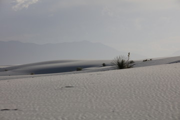 White Sands National Monument