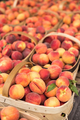 Local peaches at a Farmer's Market in baskets freshly picked ready for sale.