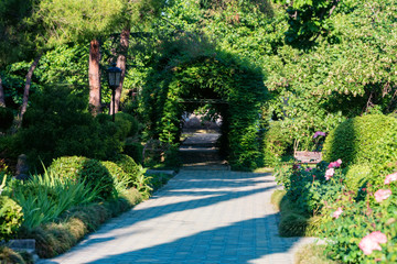 Green archway topiary of boxwood in sunny park close