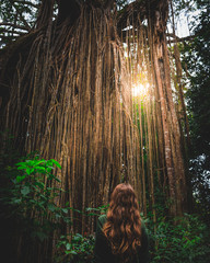 woman exploring rainforest - 279251669