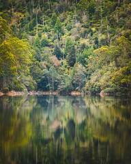 reflections on the lake in forest - 279251811