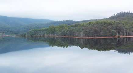 reflections on the lake in forest