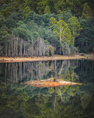 reflections on the lake in forest - 279252074