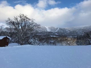 winter landscape with trees and snow