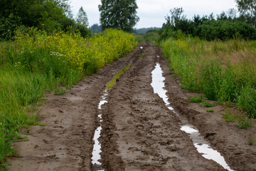 muddy road with mud and puddles in the field in summer