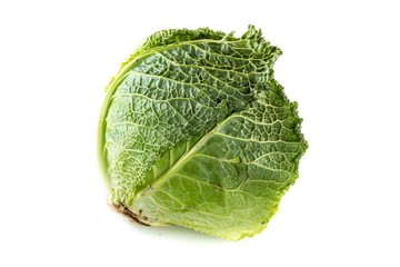 Fototapeta premium Cabbage head