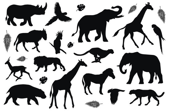Vector flat black set collection of African animals silhouette isolated on white background