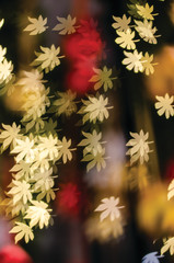 Colorful bokeh with copy space for merry christmas and new year celebration background.