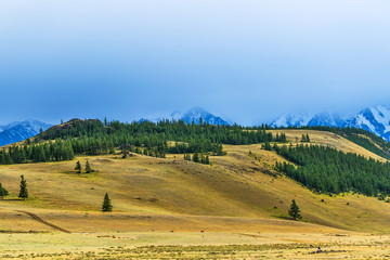 Kurai steppe and the North-Chuya mountain range. Mountain Altai