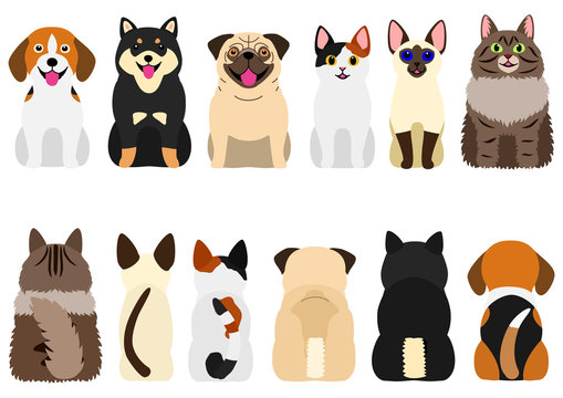 smiling cute dogs and cats set