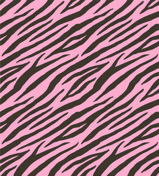 Vector seamless pattern of black tiger zebra stripes print fur isolated on pink background