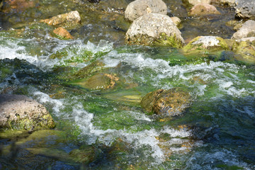 Water splashing rocks 