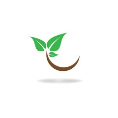 leaf veector template icon design