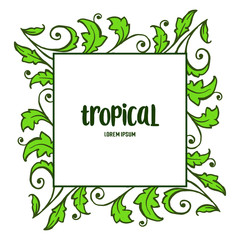 Card decor of summer tropical with various art of green leaves frame. Vector