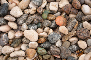 Seashore with gravel stone in summer, close up view. Texture of jackstone. Multicolour pebbles, abstract background