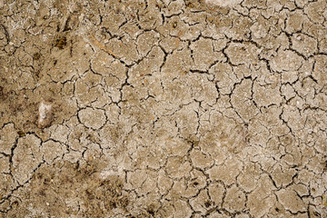 Cracked Earth texture