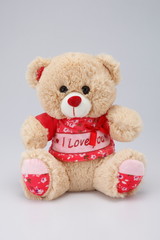 teddy bear with red shirt
