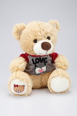 teddy bear with heart