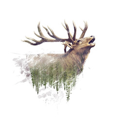 Fototapety  Deer and Forest. Watercolor Double Exposure effect on white background