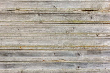 Wood Texture Background Old Colored Natural Oak. Shabby Wooden Backdrop from Weathered Horizontal Logs with Knots. Light Decorative Plank Surface. Rough Timber Pattern for Rustic Design