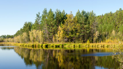 Obraz premium Ripples from the wind runs through the clean surface of the water with the reflection of the Northern forest and trees in the wild secluded taiga of Northern Yakutia.
