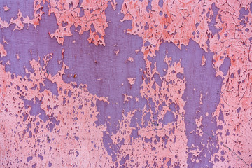 The background is a peeling metallic surface in red. texture Old red, pink paint peeling off a metallic surface.