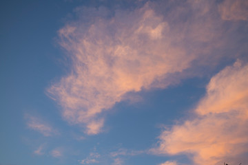 Naklejka na ściany i meble pink clouds at sunset against a blue sky
