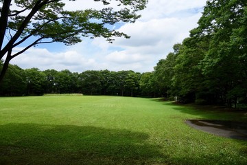 Obraz premium 自然公園