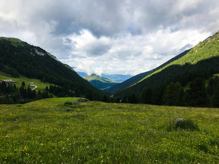 meadow in the mountains