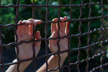 Hands of a refugee girl on a steel lattice. Refugee concept.