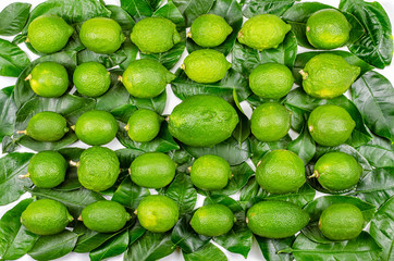 Thirty green lemons are stowed five rows on leaves. Six pieces in each one. Top view.