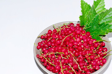 Red currant berries in a cup on a white background