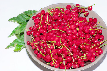 Red currant berries in a cup on a white background