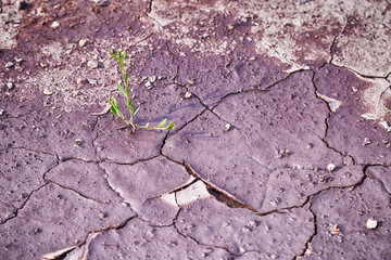 The texture of the dried and cracked ground.