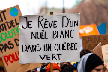 French protestors march for environment. A closeup view of a French banner saying I dream of a...
