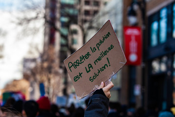 French sign at ecological protest. A closeup view of a French sign, reading stop pollution is the best solution, held up by an environmental demonstrator during a street protest.