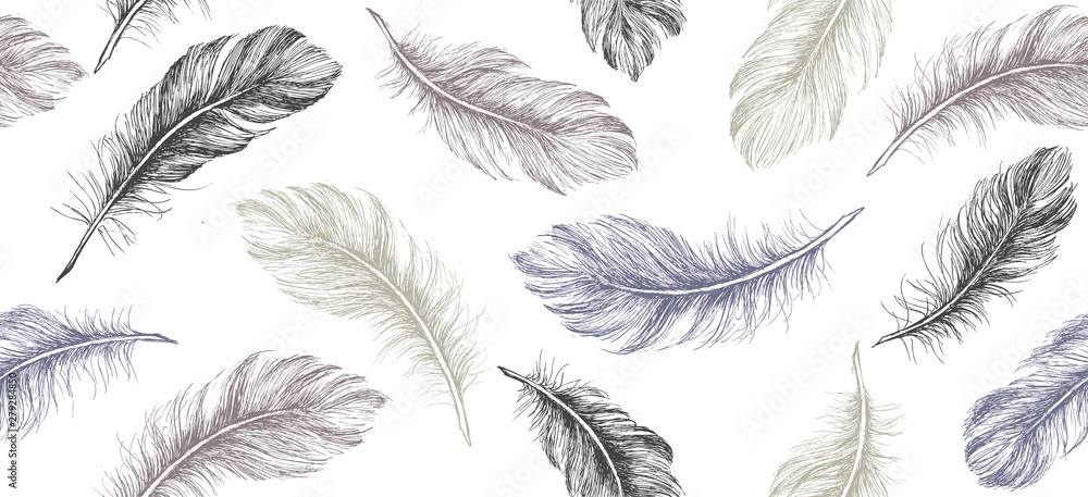 Canvas Prints hand draw set of feathers.