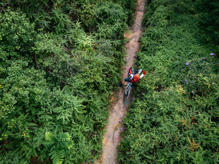 Cross country biking woman cyclist with mountain bike walking on tropical forest trail