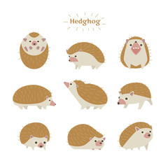 Hedgehogs in various poses. flat design style minimal vector illustration. © MINIWIDE