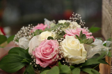 natura, flowers, red, rose, green, orchid