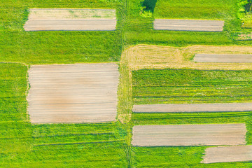 Plowing land furrows for planting agronomical plants among the countryside of grass and meadows trees, aerial view from above.