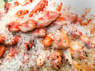 Chilled fresh fish sold in the supermarkets