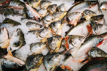 Cold salmon head cold in the supermarket