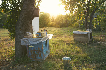 beehives in the garden