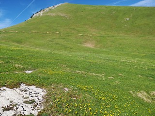 panorama montagnard - alpage du charmant som en chartreuse